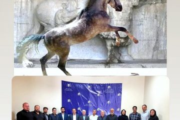 اسب کُرد بنام کرمانشاه ثبت ملی شد